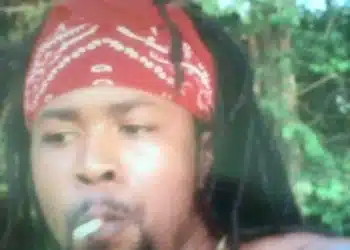 Bagatelle Homicide Victim Calixtus Jn Louis