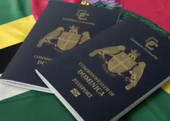 Ireland Visa Requirements For Dominica