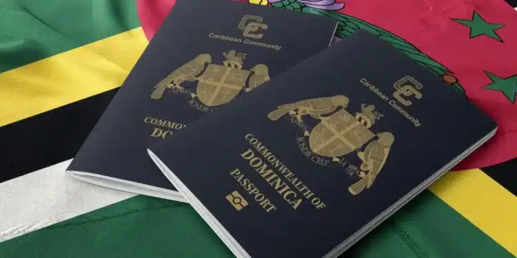 Ireland Visa Requirements For Dominica