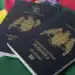 Ireland Visa Requirements For Dominica