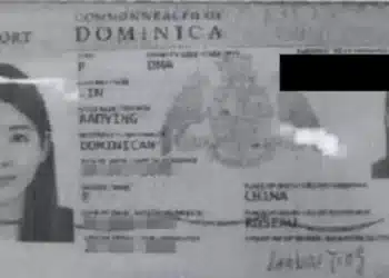 Dominican passport page of deportee involved in $3B money laundering scandal - Dominica Passport Scandal