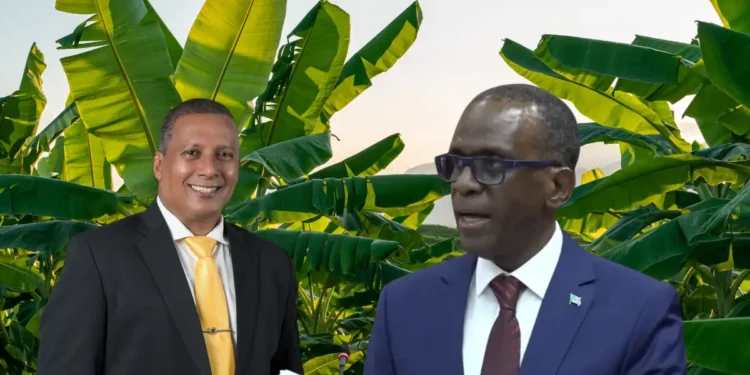 Guy Joseph and Philip J Pierre in photo with a banana field in the background highlighting how the UWP forces government to address the farmers compensation