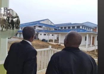 Philip J Pierre viewing the old St jude's Hospital with an overlay showing a photo of goats inside St Jude's Hospital