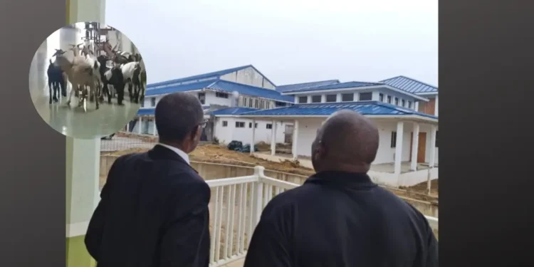 Philip J Pierre viewing the old St jude's Hospital with an overlay showing a photo of goats inside St Jude's Hospital
