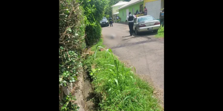 Police at the scene of the Balata shooting as Babonneau homicide news confirms second killing in 24 hours