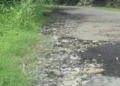 Cacao Vieux-Fort road neglect Damaged road with clogged gutters highlights years of infrastructure failure. Photo credit Loop St. Lucia News.