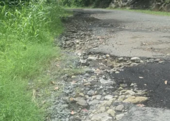 Cacao Vieux-Fort road neglect Damaged road with clogged gutters highlights years of infrastructure failure. Photo credit Loop St. Lucia News.