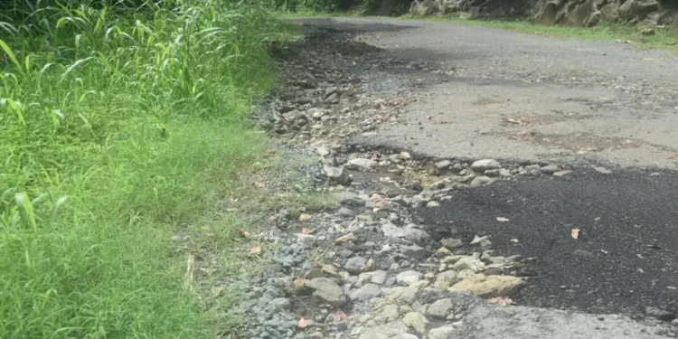 Cacao Vieux-Fort road neglect Damaged road with clogged gutters highlights years of infrastructure failure. Photo credit Loop St. Lucia News.