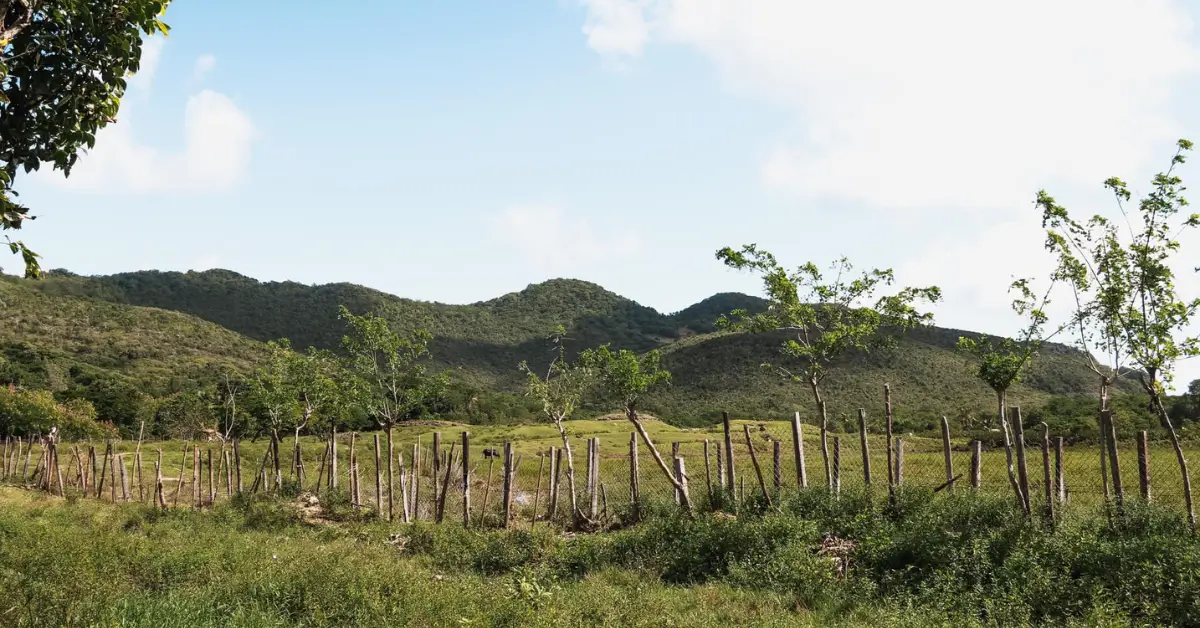 The proposed drag racing site in Dennery, a proactive alternative highlighted by Allen Chastanet as Kenson Casimir exposed for mishandling the Cacabef lease controversy.