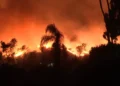Los Angeles wildfires blaze fiercely at night, fueled by intense Santa Ana winds, engulfing Pacific Palisades in flames and smoke