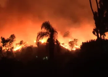 Los Angeles wildfires blaze fiercely at night, fueled by intense Santa Ana winds, engulfing Pacific Palisades in flames and smoke