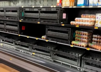 US faces empty shelves as product shortages hit grocery stores, with eggs and essentials in short supply