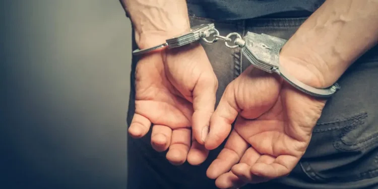 Hands of arrested man in handcuffs after Port Castries drug and gun bust