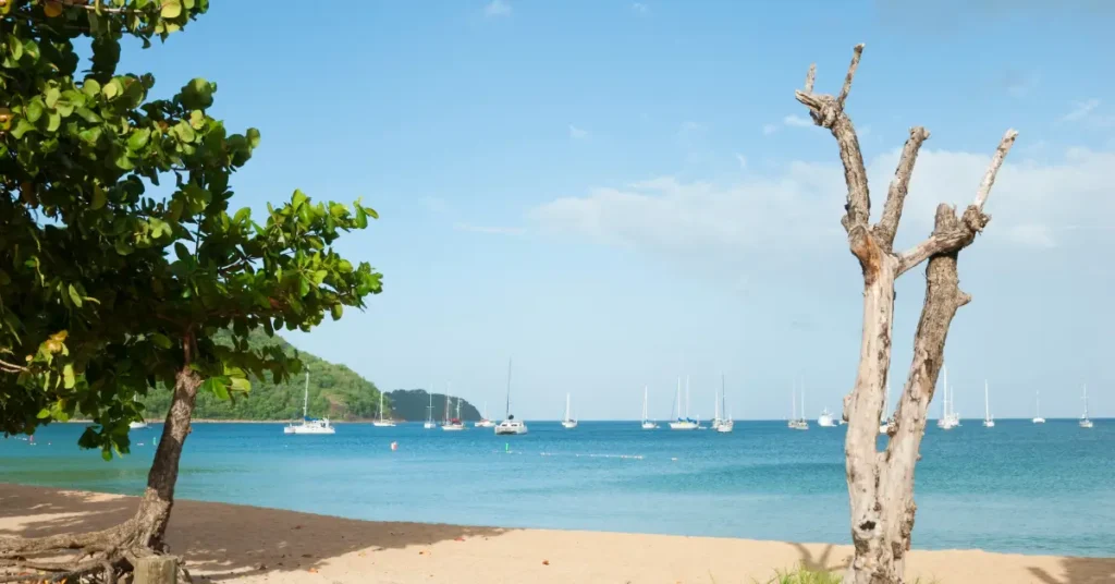 Best towns and resorts in St Lucia rodney-bay-resorts-best-towns-st-lucia