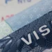 US embassy visa warning over Caribbean birth tourism misuse shown with close-up of visa.