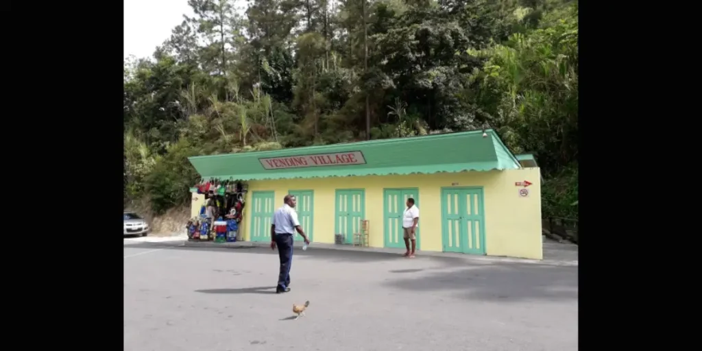 Herod Stanislas Slams crippling Sulphur Springs vending fee hikes Vending Village at Sulphur Springs where Soufriere vendors face vending fee hikes criticized by Herod Stanislas.
