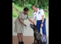 St Lucia Border Sabotage Scandal – Police Dog Tyson with RSLPF