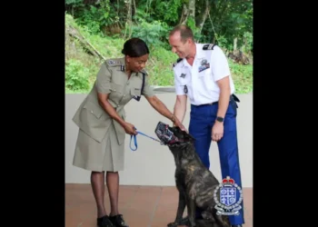 St Lucia Border Sabotage Scandal – Police Dog Tyson with RSLPF