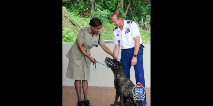 St Lucia Border Sabotage Scandal – Police Dog Tyson with RSLPF