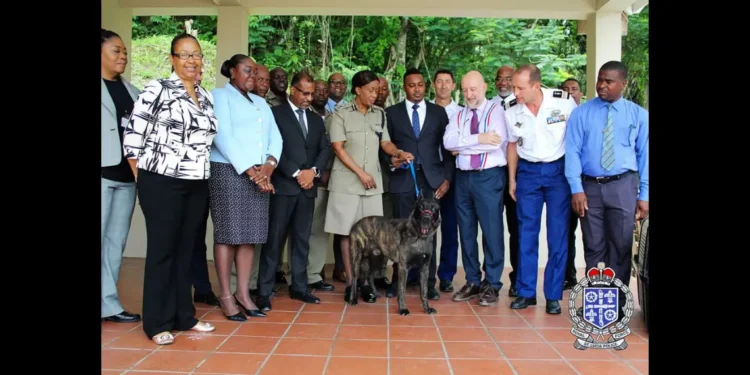 St Lucia Police Dog Tyson poisoned during service, pictured with RSLPF and French officials