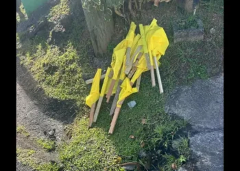 Removed yellow UWP party flags lying on the ground in Dennery North as the Dennery North UWP condemns vandalism.
