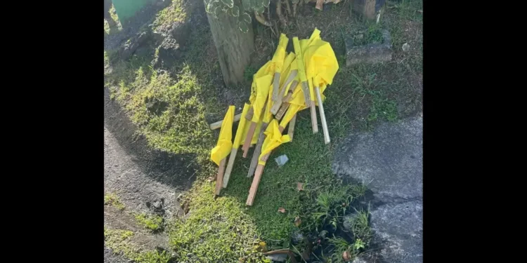 Removed yellow UWP party flags lying on the ground in Dennery North as the Dennery North UWP condemns vandalism.