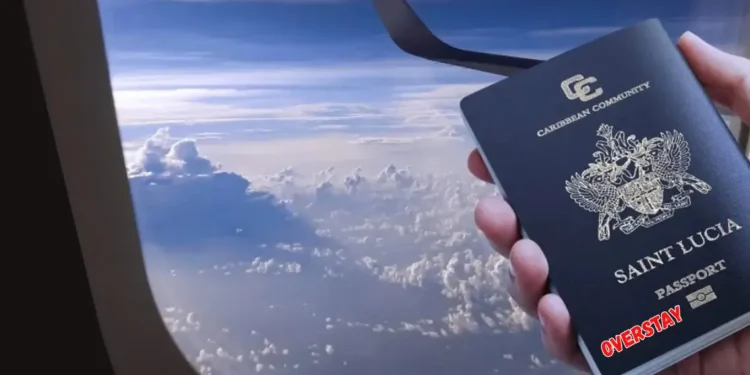 Hand holding a Saint Lucia passport by airplane window, symbolizing St Lucia US visa overstay rate issue.