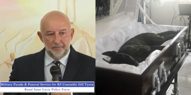 French Ambassador Francis Etienne pays tribute at funeral of K9 Constable Tyson in St Lucia