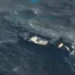 Aerial image showing the Trump Venezuela drug boat strike, with a targeted vessel in rough seas after the U.S. military operation