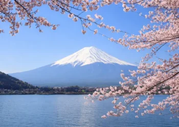 Mount Fuji in Japan framed by cherry blossoms, reflecting cultural exchange under the 2026 JET Programme