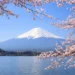 Mount Fuji in Japan framed by cherry blossoms, reflecting cultural exchange under the 2026 JET Programme