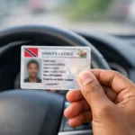 Illustration of a driver holding a Trinidad and Tobago driver’s licence inside a car after the Trinidad driver’s licence renewal period was extended