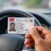 Illustration of a driver holding a Trinidad and Tobago driver’s licence inside a car after the Trinidad driver’s licence renewal period was extended