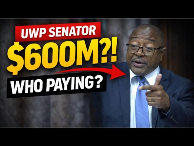 UWP Senator Titus Preville speaking in Senate on $600M borrowing debate