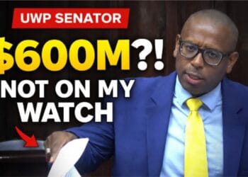 UWP Senator Tommy Descartes during Senate debate on $600M borrowing