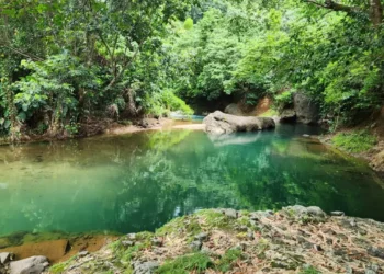 River and forest landscape in Dominica near the proposed Deux Branches quarry site