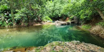 River and forest landscape in Dominica near the proposed Deux Branches quarry site