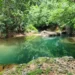 River and forest landscape in Dominica near the proposed Deux Branches quarry site