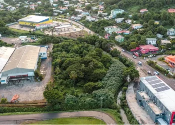 Aerial view of Bois d'Orange St Lucia where a fer-de-lance bite was reported on May 7 2026 showing dense tropical vegetation between commercial buildings and residential homes.