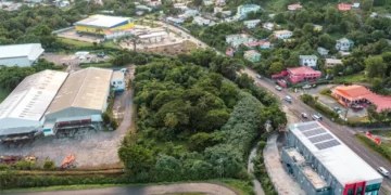 Aerial view of Bois d'Orange St Lucia where a fer-de-lance bite was reported on May 7 2026 showing dense tropical vegetation between commercial buildings and residential homes.