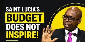 Dominic Fedee Speaking in the senate on Saint Lucia Budget