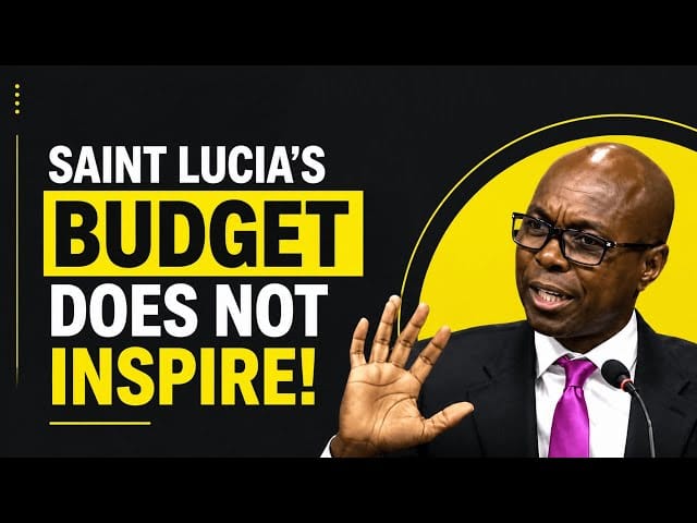 Dominic Fedee Speaking in the senate on Saint Lucia Budget