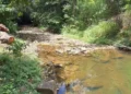 Dry Season Crisis leaves low water levels near a WASCO raw water source in St Lucia