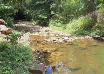 Dry Season Crisis leaves low water levels near a WASCO raw water source in St Lucia