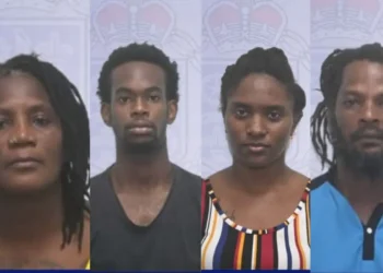 Shalane Cyril, Claudinus Phillip, Jessica St Prix, Shawn Henry charged in Soufriere police operation Palmiste
