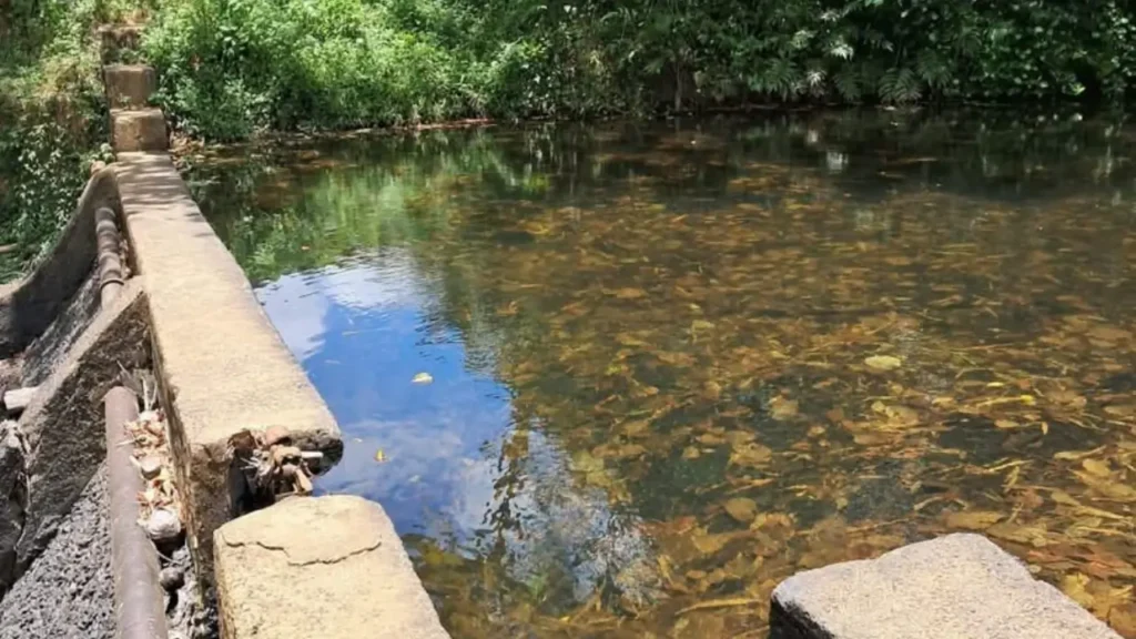 Shallow river conditions highlight the Dry Season Crisis affecting WASCO water systems