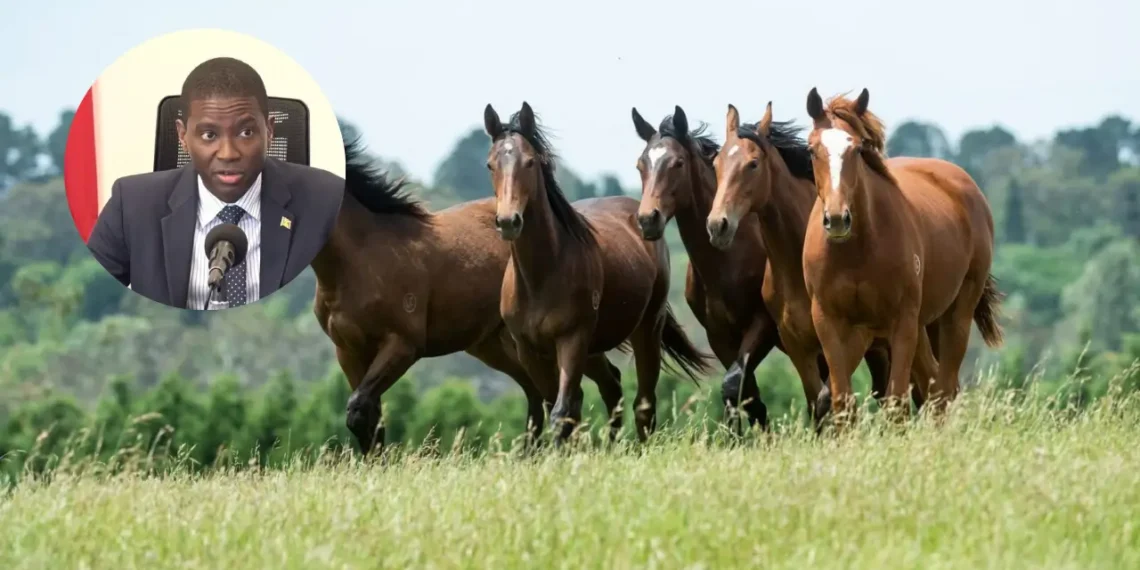 Grenada kills horses — Prime Minister Dickon Mitchell alongside illustrative image of horses; Grenada euthanasia dispute 2026