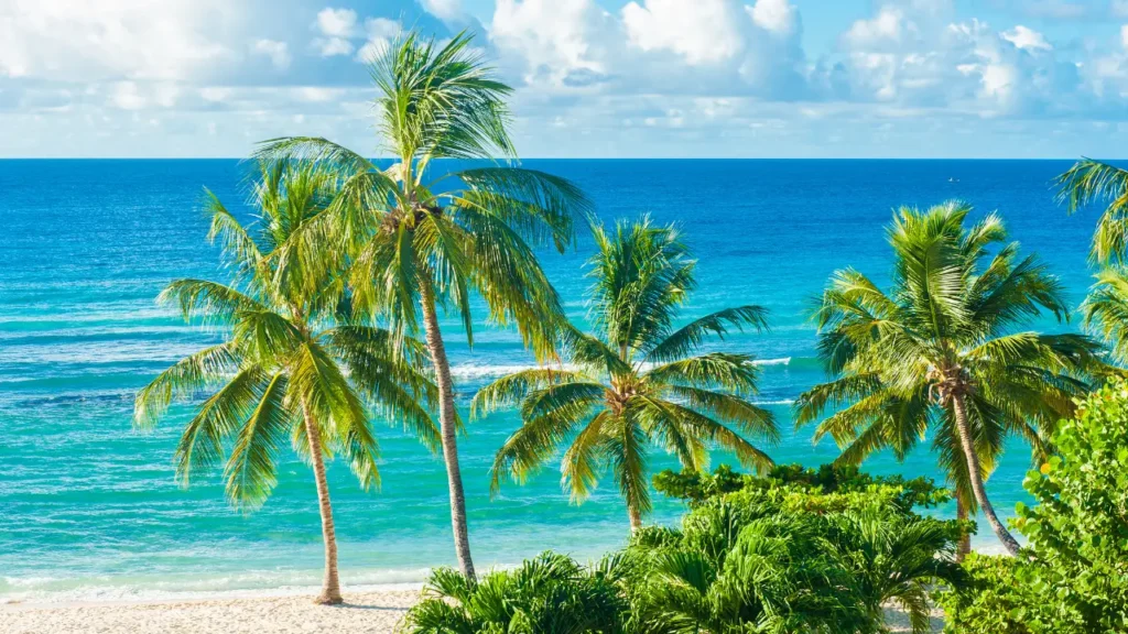 arbados coastline featured among the safest Caribbean islands for travelers