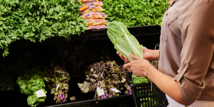 Shopper examining lettuce amid the US cyclospora outbreak